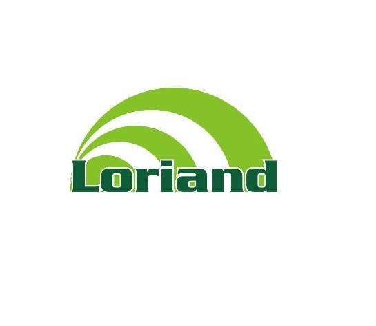 loriand-duoplast-logo